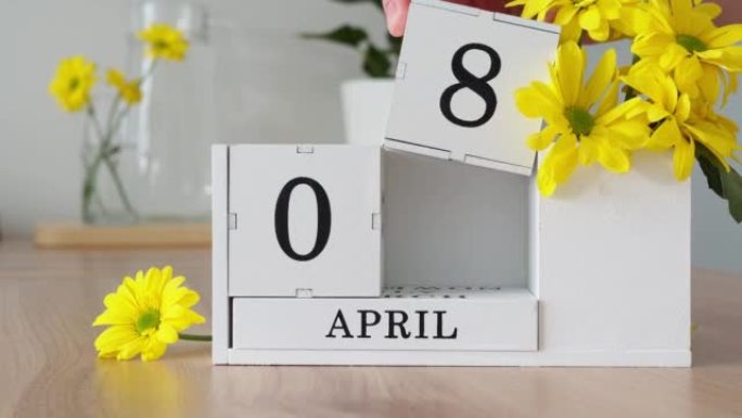 春季月份4月8日。女人的手翻过一个立方历法。黄色花朵旁边的桌子上的白色万年历。在一个月内更改日期。一
