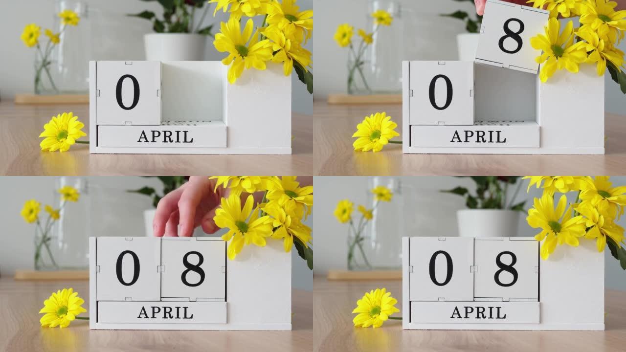 春季月份4月8日。女人的手翻过一个立方历法。黄色花朵旁边的桌子上的白色万年历。在一个月内更改日期。一