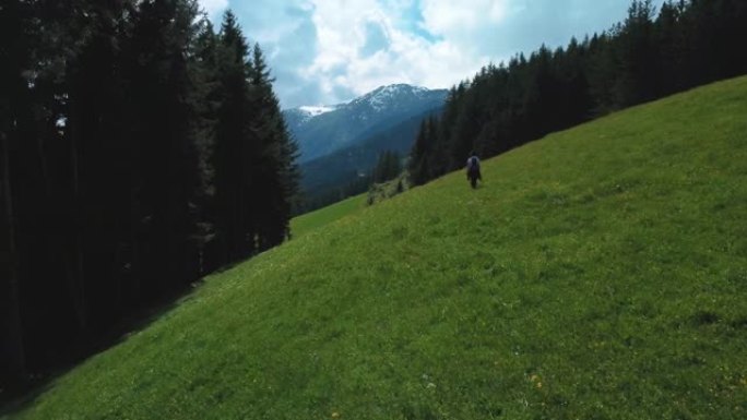 电影般的Zillertal山谷，充满活力的绿色春季草，小木屋和鲜花，风景秀丽的山峰，在巴伐利亚奥地利