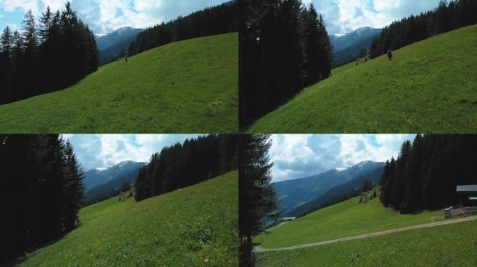 电影般的Zillertal山谷，充满活力的绿色春季草，小木屋和鲜花，风景秀丽的山峰，在巴伐利亚奥地利