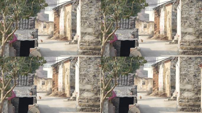 农村新年 农村孩子 孝感农村过年 回家