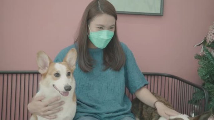 亚洲女子在室内玩她的柯基犬