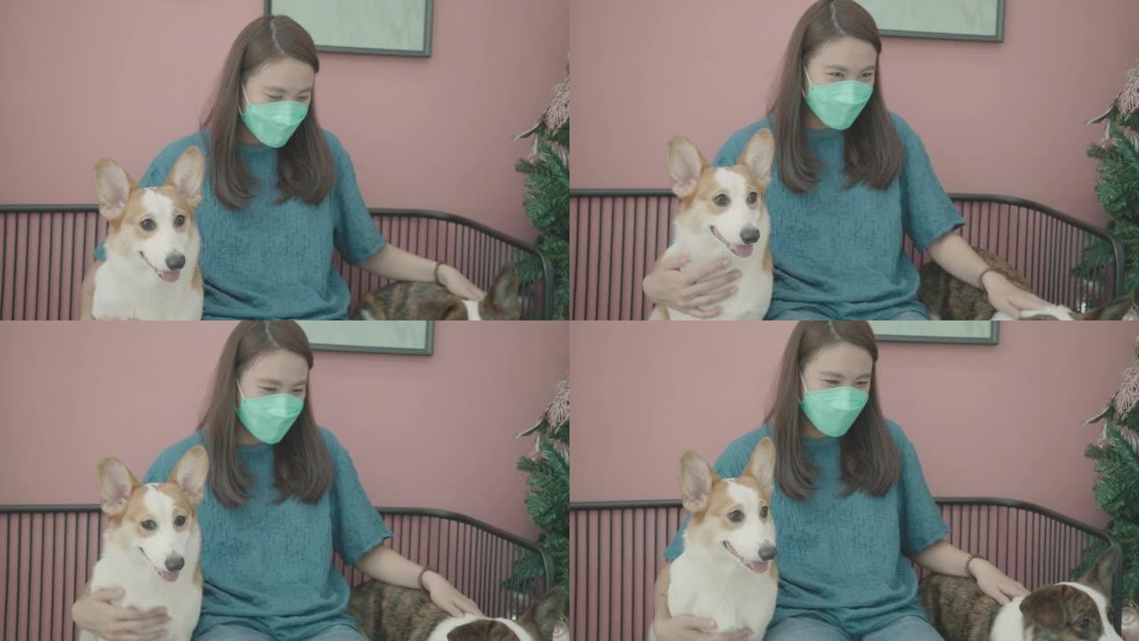 亚洲女子在室内玩她的柯基犬