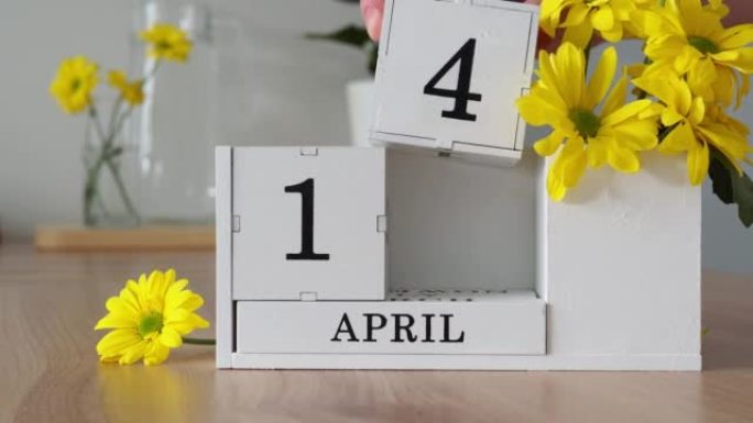 春季月份4月14日。女人的手翻过一个立方历法。黄色花朵旁边的桌子上的白色万年历。在一个月内更改日期。