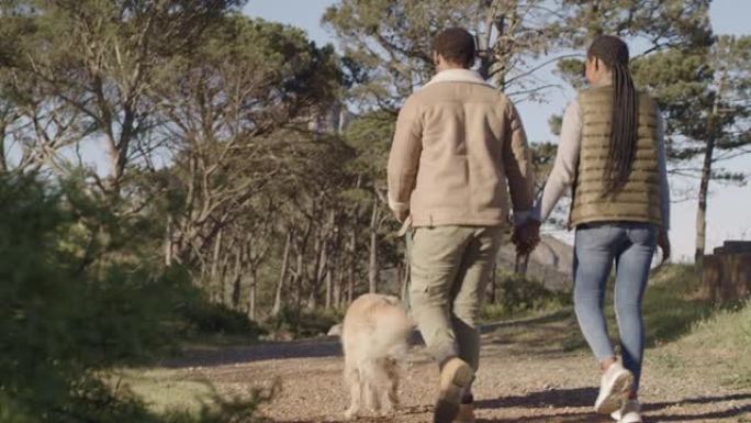 4k视频片段，一对无法识别的夫妇牵手并与他们的金毛寻回犬一起在户外徒步旅行