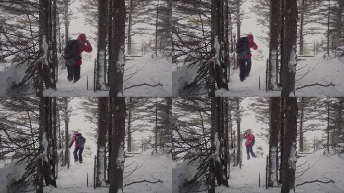 一场强大的暴风雪。在暴风雪中，一个躲在树后的山顶上的人。
