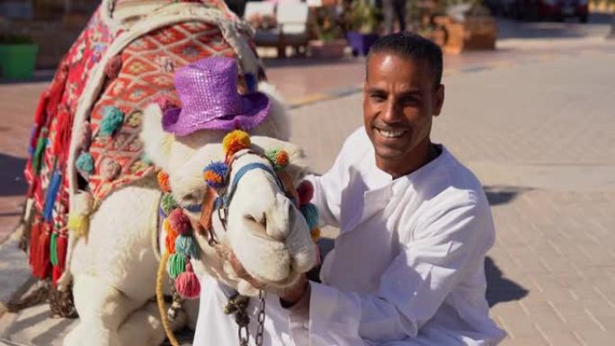 阿拉伯男子在旅游区亲吻骆驼。
