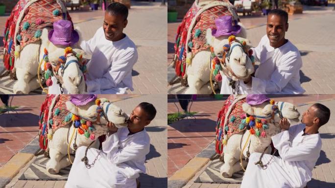 阿拉伯男子在旅游区亲吻骆驼。