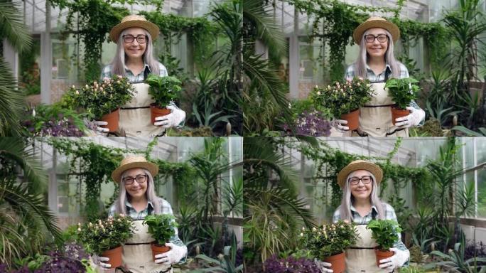 穿着迷人的温室，拿着两个花盆的帽子，令人愉快的昂扬无忧无虑的成熟女人的特写