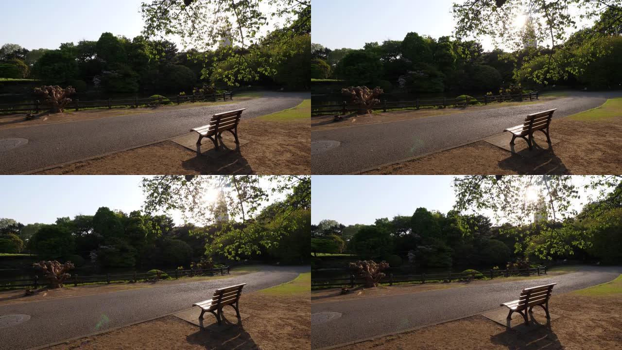 公园路附近的空长凳，可以看到池塘的景色，阳光透过树叶轻拂