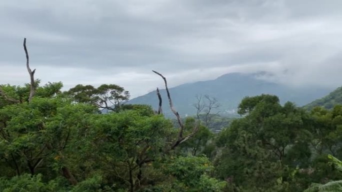 阳明山景