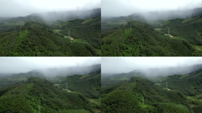 泰国攀牙府雨景中雾送电塔的空中无人机电影