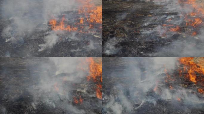 森林大火产生的浓烟。炮轰后的焦土。