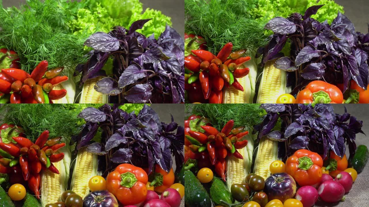 素食健康食品，蔬菜: 黄瓜番茄辣椒和其他，macro dolly shot