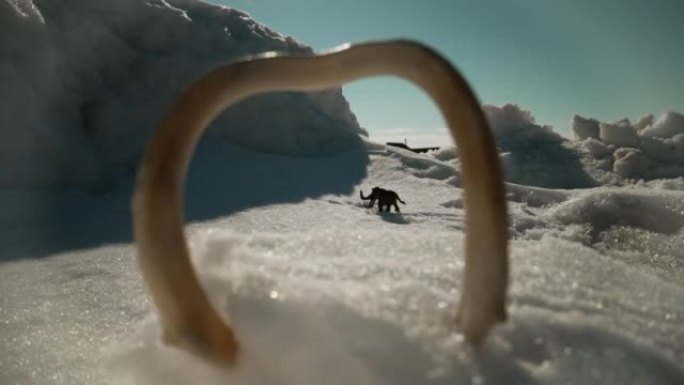 寒冷的白雪皑皑的长毛象。白雪皑皑的风景和猛犸象。猛mm象站在永久冻土中