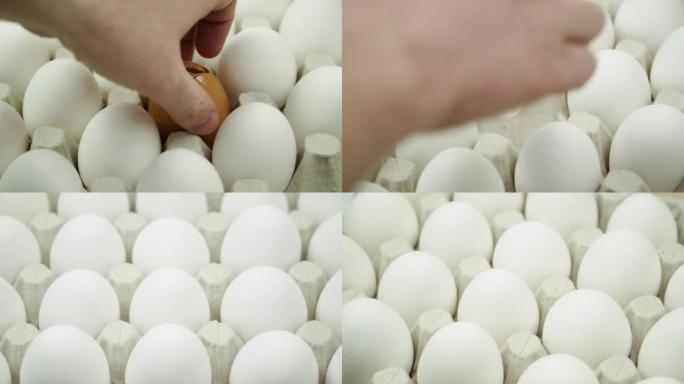 手将破碎的鸡蛋变成平台上的整个鸡蛋-特写。很多新鲜鸡肉生鸡蛋