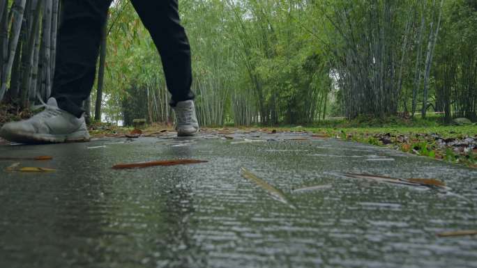 4K实拍春天广州公园竹林小道走路的人