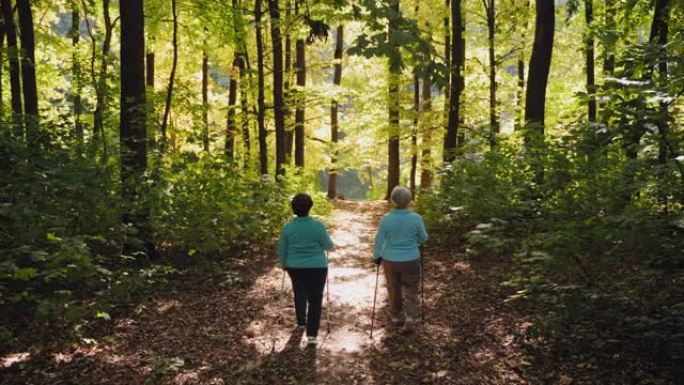 北欧为森林中的老年妇女散步