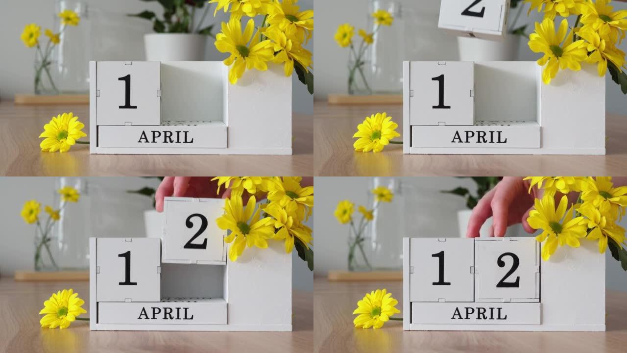 春季月份4月12日。女人的手翻过一个立方历法。黄色花朵旁边的桌子上的白色万年历。在一个月内更改日期。
