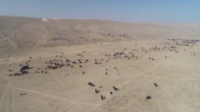 Buzkashi Bushkashi Kokpar Kupkari节骑士