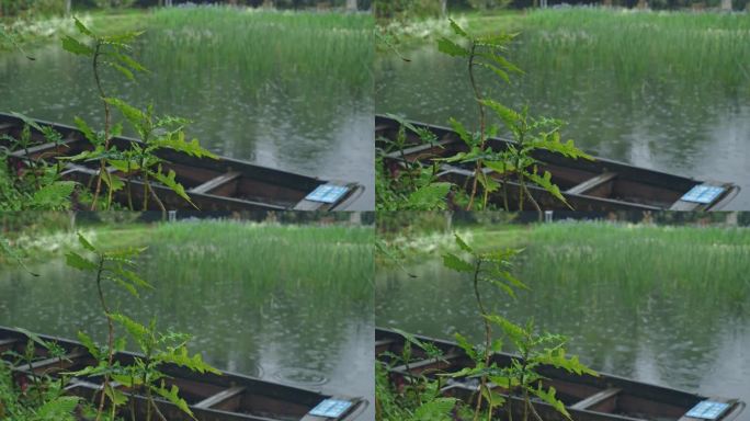 4K实拍，春雨中公园里湖中的小船。