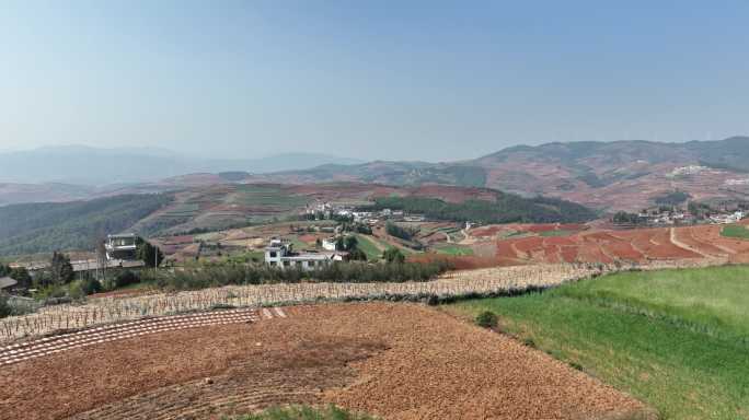 航拍昆明东川红土地风吹麦浪