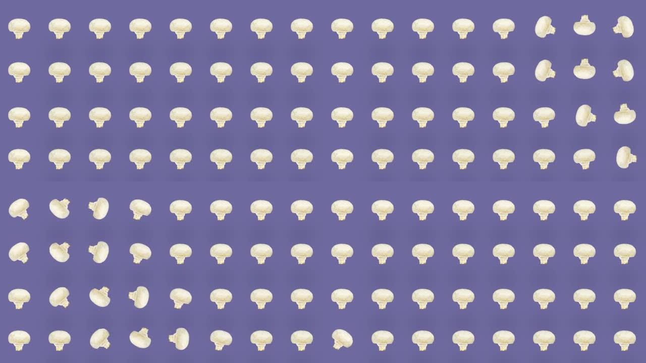 紫色背景上鲜蘑菇的彩色图案。与champignon无缝图案。顶视图。逼真的动画。4k视频运动