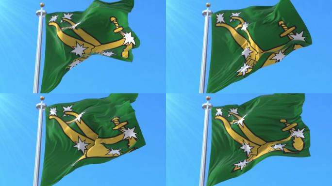 爱尔兰国民军最早的星条旗。循环