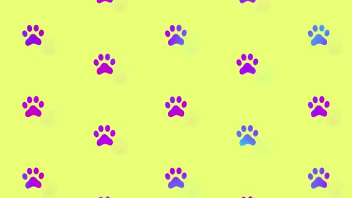 猫爪子的彩色图案。猫爪无缝图案。顶视图。动物轮廓。4k视频运动