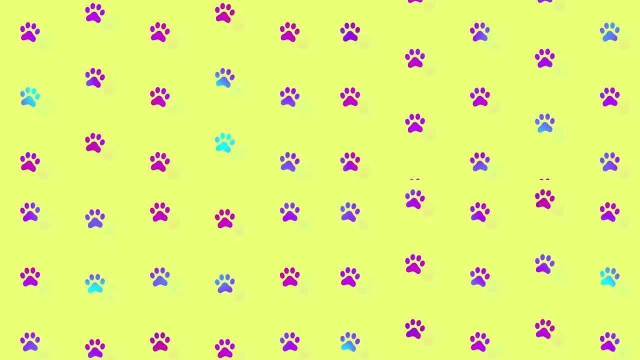 猫爪子的彩色图案。猫爪无缝图案。顶视图。动物轮廓。4k视频运动