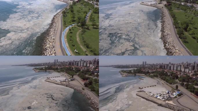 土耳其伊斯坦布尔马尔马拉海沿岸港口附近海岸粘液的鸟瞰图。