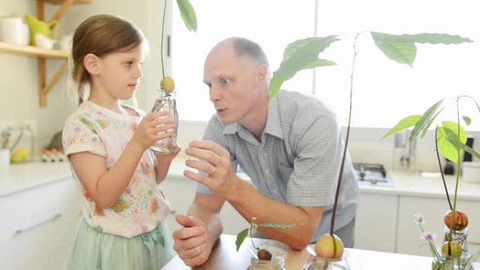 父亲向他的小女儿展示了一瓶水中生长的幼苗