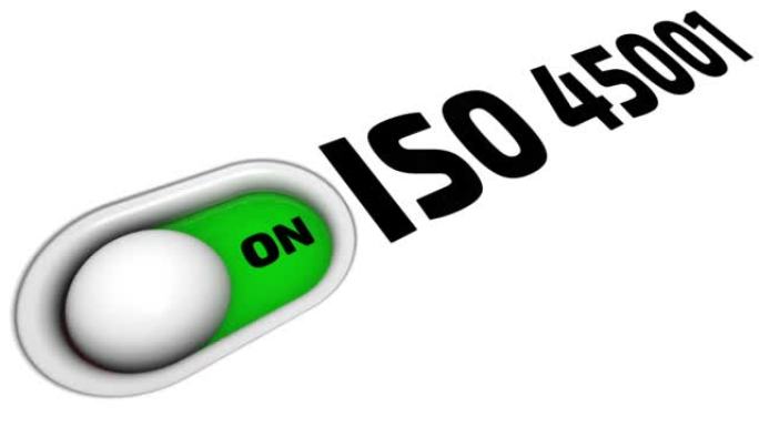 启用和禁用ISO 45001