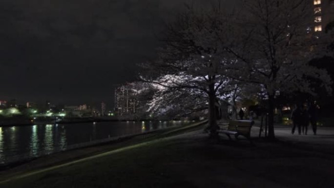 东京石川岛公园樱花之夜2022