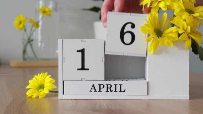 春季月份4月16日。女人的手翻过一个立方历法。黄色花朵旁边的桌子上的白色万年历。在一个月内更改日期。