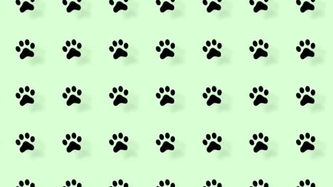 绿色背景上有阴影的猫爪子的彩色图案。猫爪无缝图案。顶视图。动物轮廓。4k视频运动