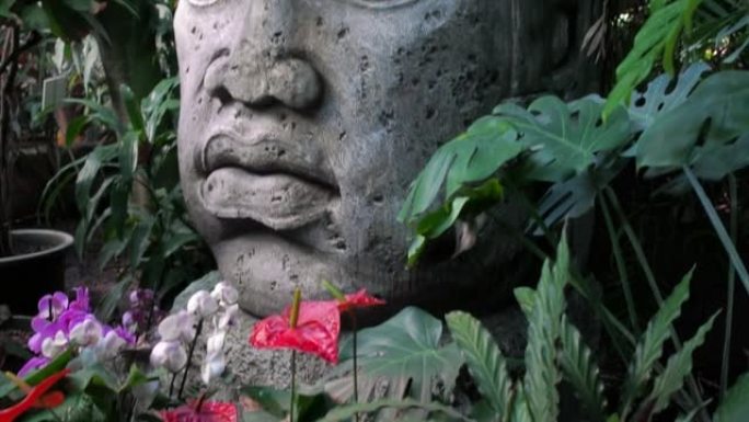 用石头雕刻而成的奥尔梅克雕塑。玛雅象征-丛林中的大石头雕像