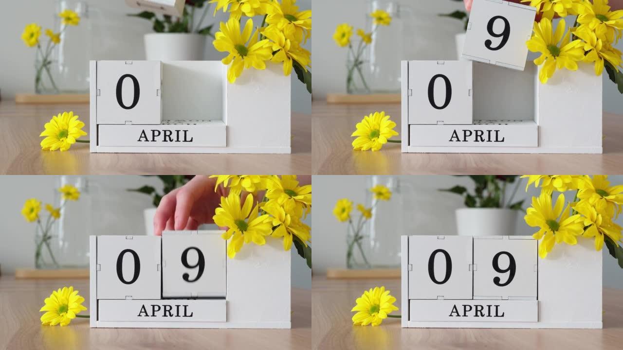 春季月份4月9日。女人的手翻过一个立方历法。黄色花朵旁边的桌子上的白色万年历。在一个月内更改日期。一