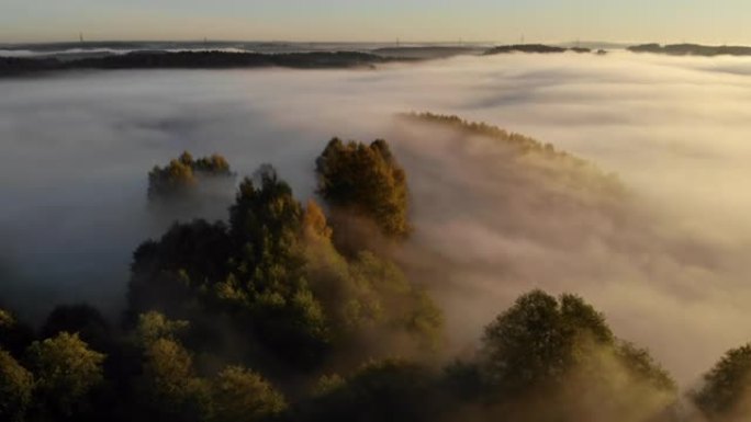 日出时雾蒙蒙的五颜六色的树木的惊人鸟瞰图。秋雾景观。雄伟的薄雾森林鸟瞰图。薄雾笼罩的乡村的日出。神奇