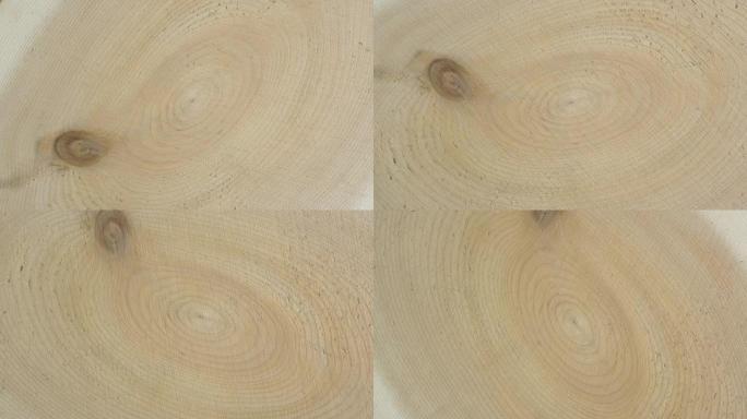 旧横切树干的环和纹理。木树部分或树桩的背景和设计。厨具桌子或室内设计表面。林业。