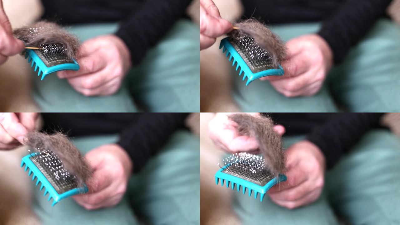 一个男人的手拿着灰色皮毛的猫梳子刷