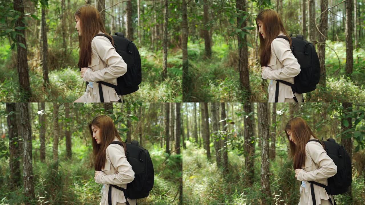 背着背包的年轻女子的慢动作在森林中旅行和散步