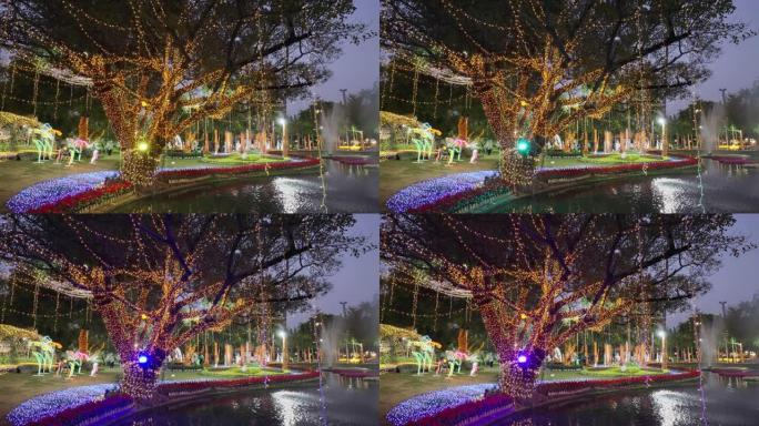 2月初，泰国清迈苏安巴克公园展示了美丽的夜灯装饰和五颜六色的花朵