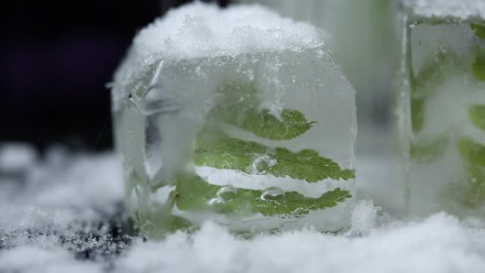 选择性聚焦，天然水晶透明融化的冰块和新鲜的绿色蕨叶背景。宏