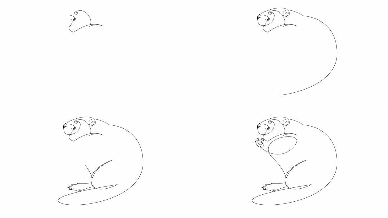 有趣海狸的一幅单线动画，用于标识。可爱的有趣的啮齿动物吉祥物概念宠物情人俱乐部图标。连续线自画动画。