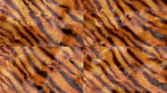 老虎条纹毛皮纹理动态动画合成