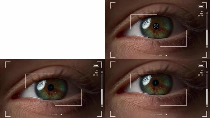 宏眼识别系统检查用户视网膜拍摄照片验证