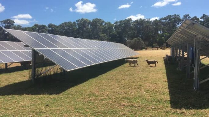 养羊场中的太阳能电池板
