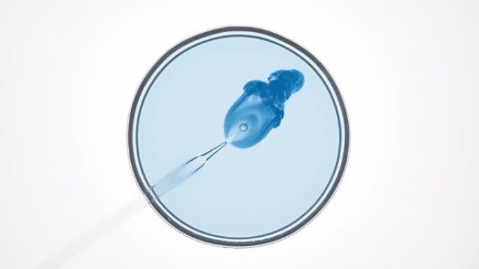 实验室滴管在培养皿中向淡蓝色液体中注入蓝色液体