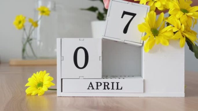 春季月份4月7日。女人的手翻过一个立方历法。黄色花朵旁边的桌子上的白色万年历。在一个月内更改日期。一